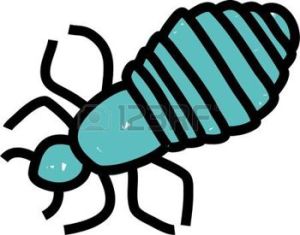 6274668-dessin-simple-de-b-ton-d-un-pou-de-t-te-qui-peut-tre-utilis-en-conjonction-avec-les-enfants-l-art-ba